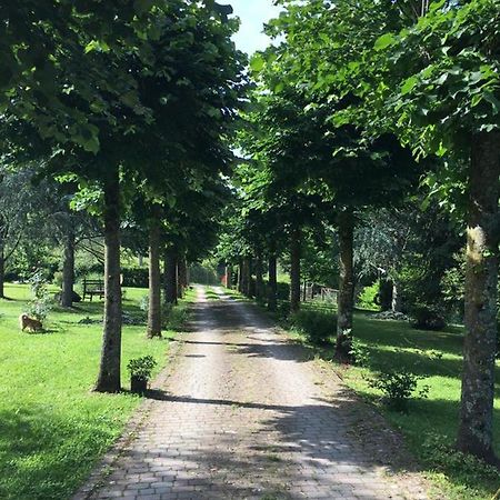 Le Mulina Villa Barberino di Mugello Eksteriør bilde