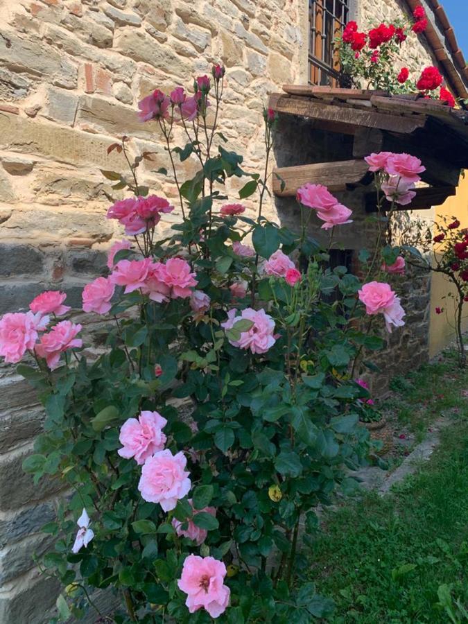 Le Mulina Villa Barberino di Mugello Eksteriør bilde